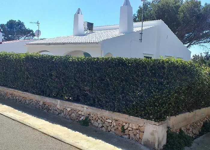 Arbocers * Cala Blanca (Menorca)