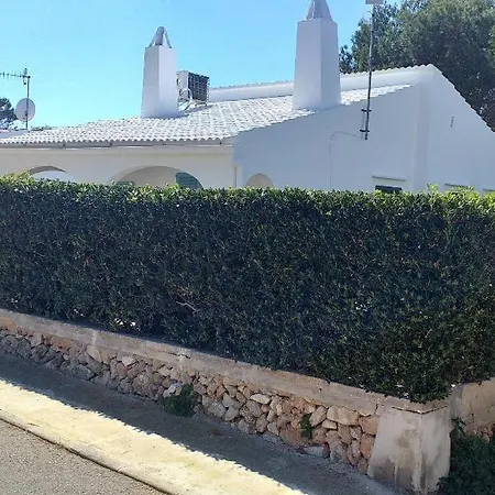 Arbocers * Cala Blanca (Menorca)